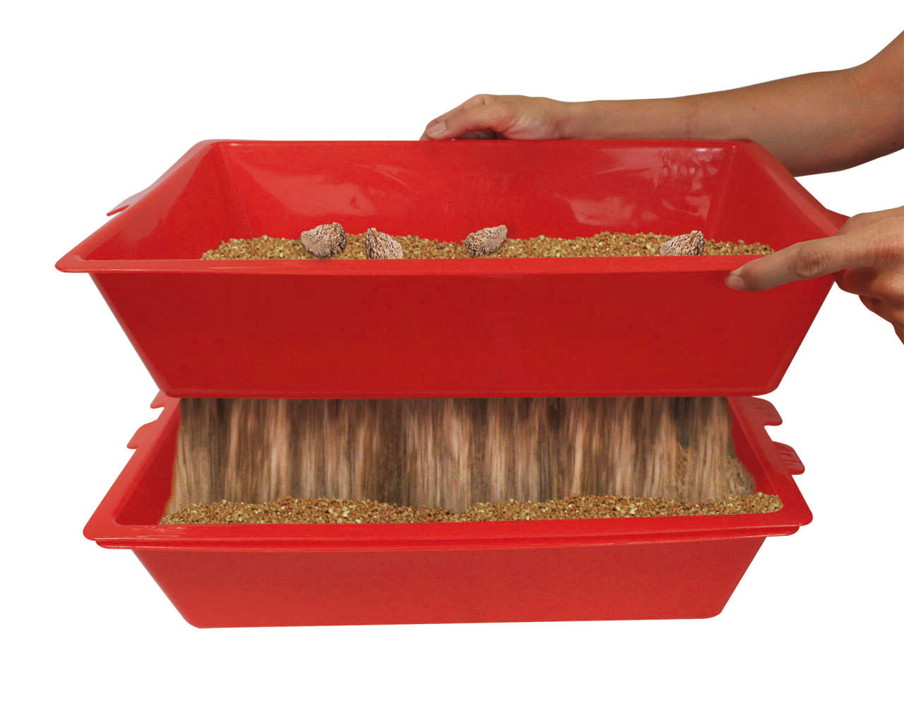 Arenero de gatos pro