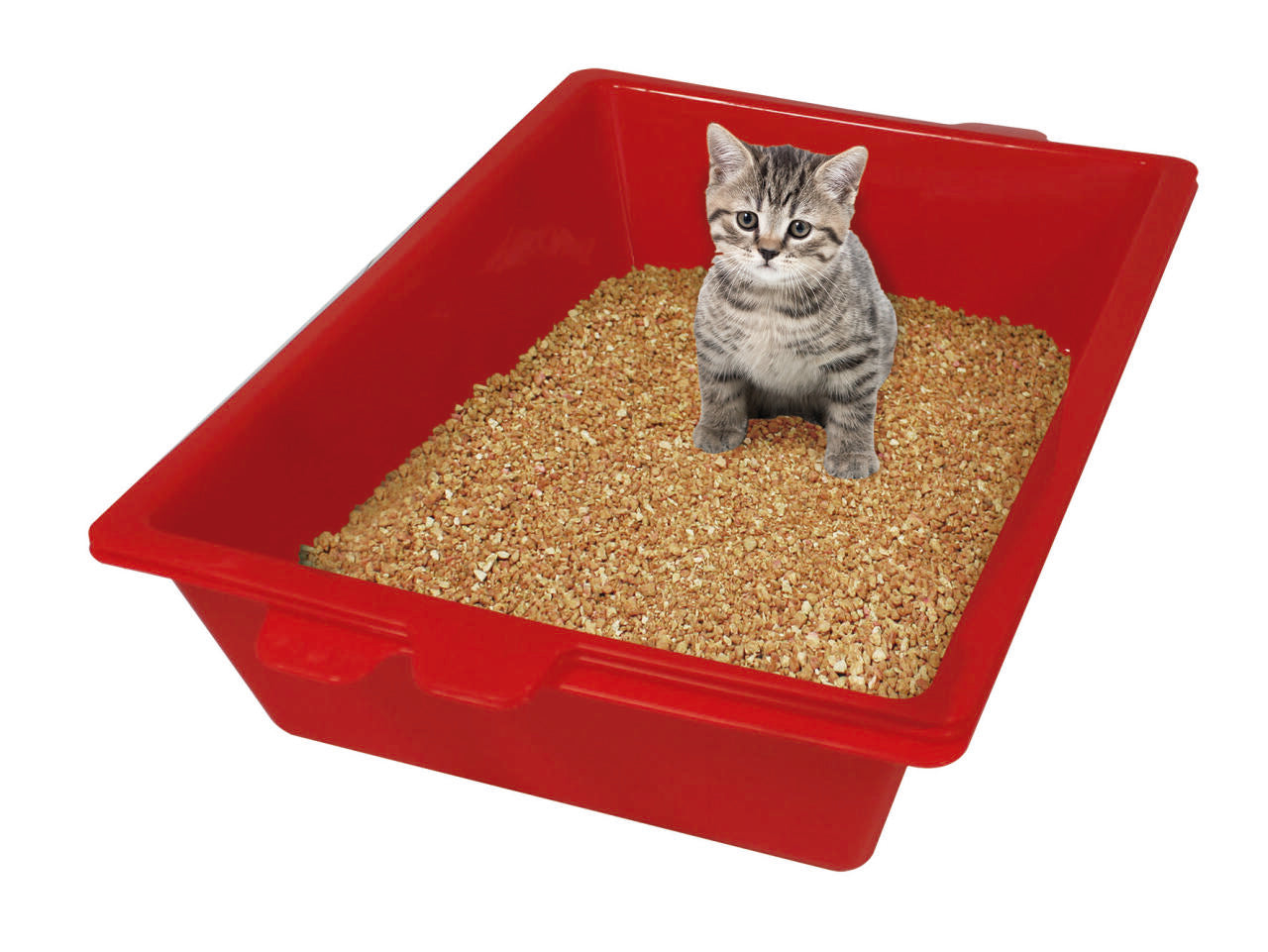 Arenero de gatos pro